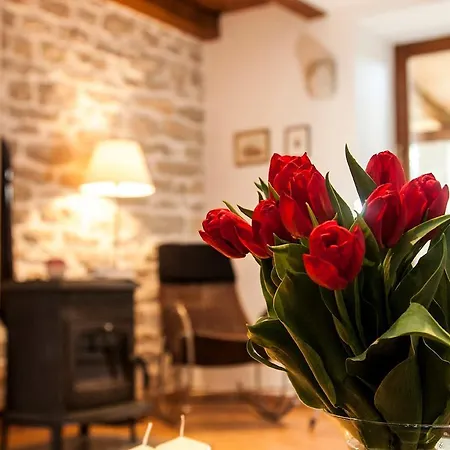 Holiday In Bale/istrien 11806 Holiday home *